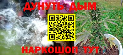 шишки Жуковский