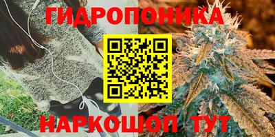 гашиш Заводоуковск