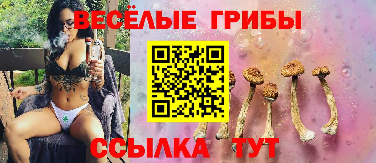 Псилоцибиновые грибы Magic Shrooms Сергиев Посад
