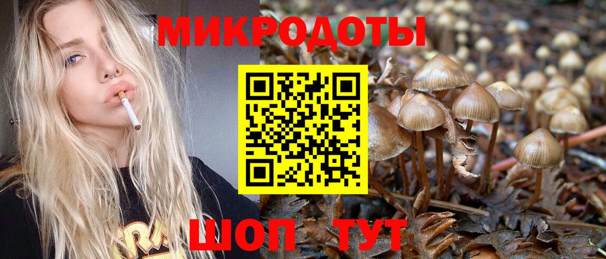 Галлюциногенные грибы прущие грибы  Вход с VPN  Сергиев Посад 